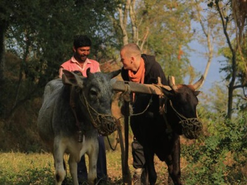 Geeta Vatika