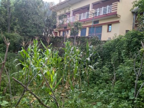 Himalayan Hermitage 