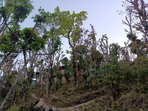 Aaron Patho Homestay  - Gallery - 8