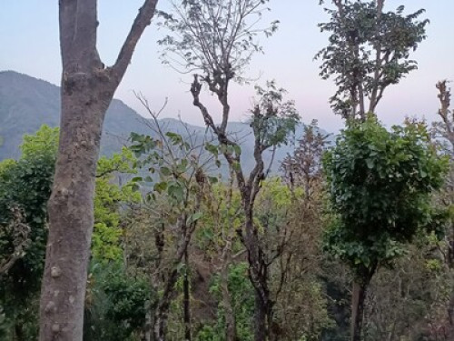 Aaron Patho Homestay  - Gallery - 10