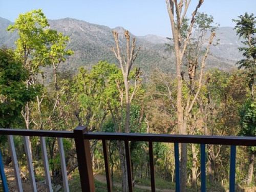 Aaron Patho Homestay  - Gallery - 7
