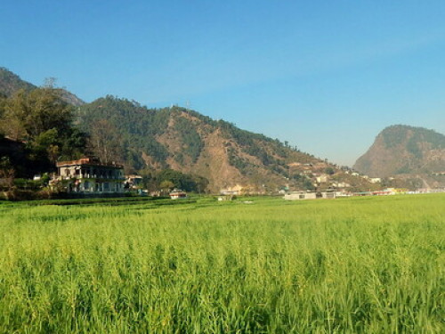 Pyunli Home @ Gauchar - Gallery - 10