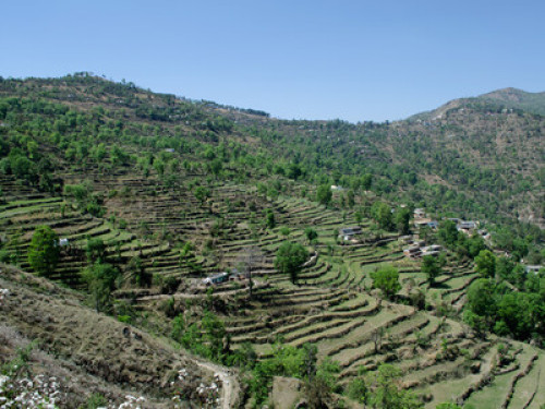 Pahaadi House Homestay - Gallery - 4