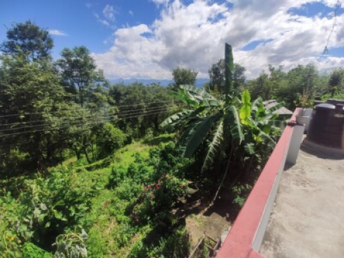 Pahaadi House Homestay