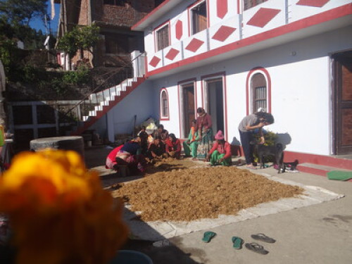 Pahaadi House Homestay - Gallery - 12