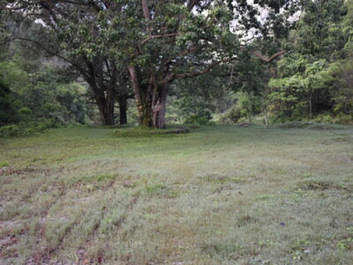 Stay at Inner Himalaya in Rural - Gallery - 8