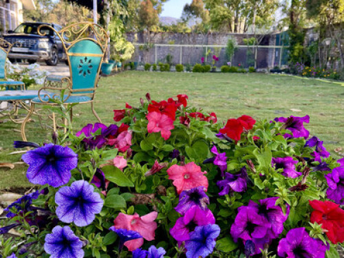 Vara Homestay hosted by Meena Yoga - Gallery - 30