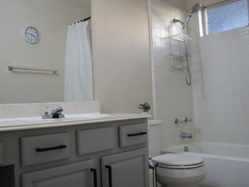 Stay with Local Austin Asian Family - Gallery - 5