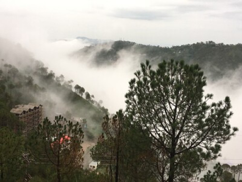 Valley View Barog Homestay 