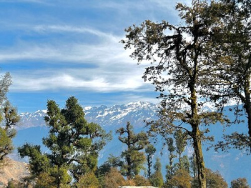 Gaonvasi Homestay (slow-living) - Gallery - 26