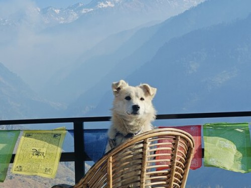 Gaonvasi Homestay (slow-living) - Gallery - 2