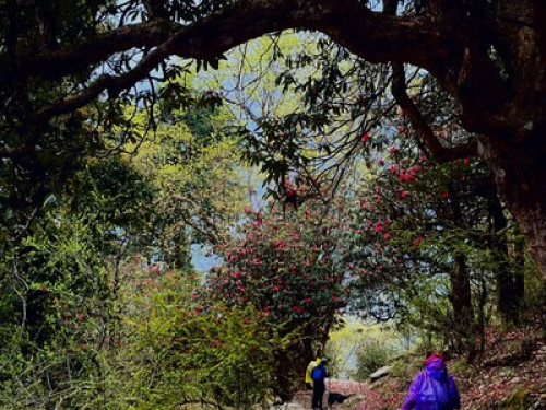 Gaonvasi Homestay (slow-living) - Gallery - 25