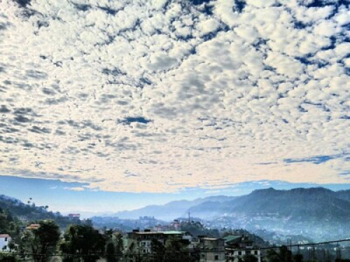 Manyog Solan Homestay - Gallery - 12