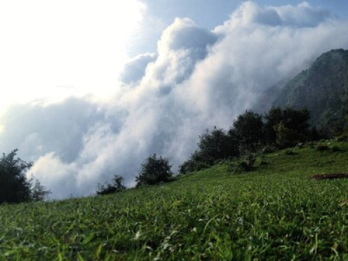Manyog Solan Homestay - Gallery - 8