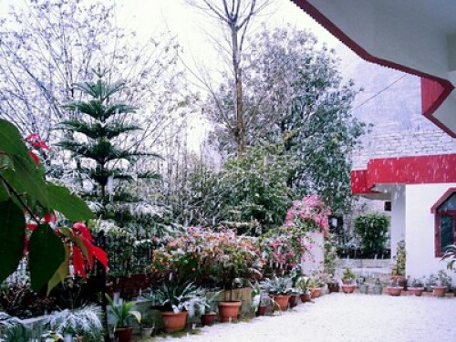 Manyog Solan Homestay - Gallery - 7