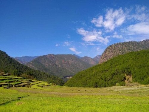 Kedarganga Homestay - Gallery - 17