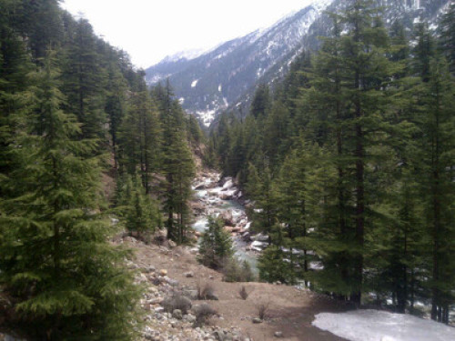 Bhandarihomestay - Gallery - 7