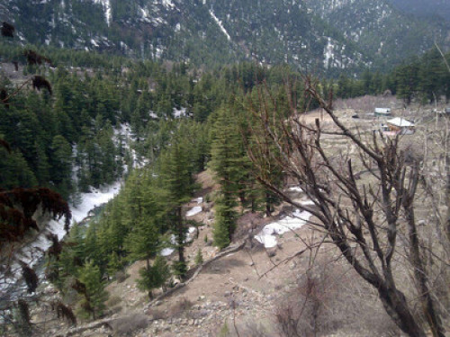 Bhandarihomestay - Gallery - 8