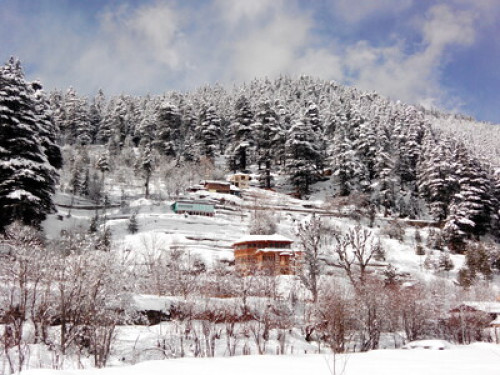 Village view homstay sangla  - Gallery - 5