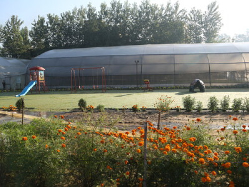 Farm Stay - Gallery - 18