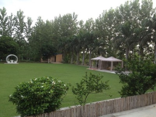 Farm Stay - Gallery - 11