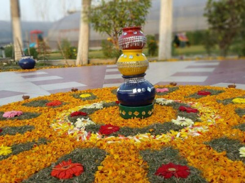 Farm Stay - Gallery - 8