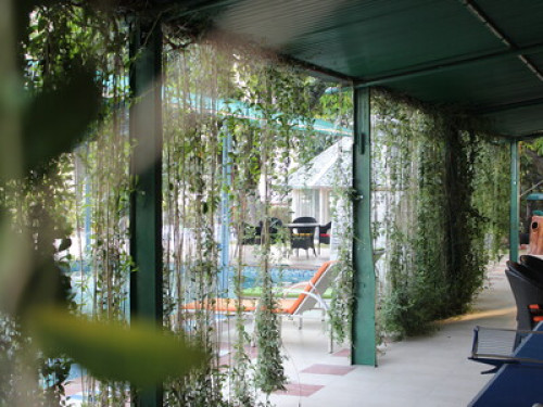 Farm Stay - Gallery - 9