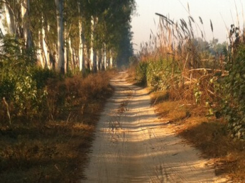 The Kothi, village stay  Near Amritsar - Gallery - 36