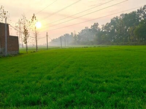 The Kothi, village stay  Near Amritsar - Gallery - 7