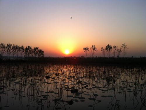 The Kothi, village stay  Near Amritsar - Gallery - 35