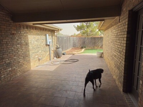 Central Midland Cozy Retreat - Gallery - 5