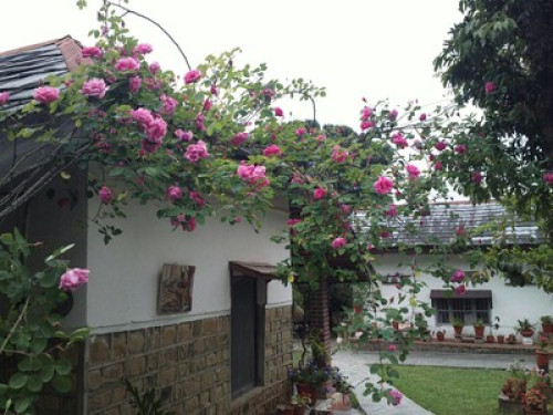 A home away from home. - Gallery - 2