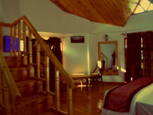 Live in Himalayas - Gallery - 17