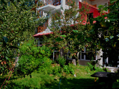 Live in Himalayas
