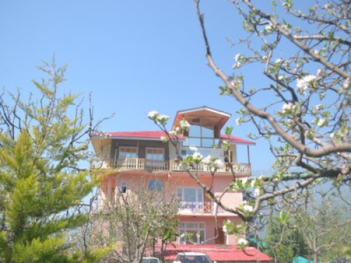 Live in Himalayas - Gallery - 6