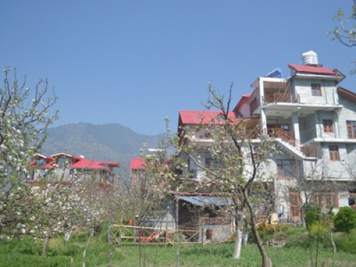 Live in Himalayas - Gallery - 7
