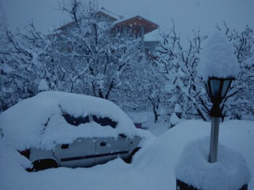 Live in Himalayas - Gallery - 16