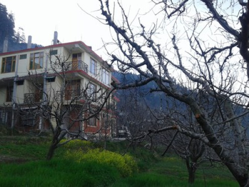 in the lap of himalaya  - Gallery - 6