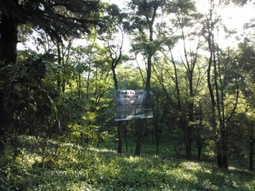 Come Listen to the Voice of Nature - Gallery - 7