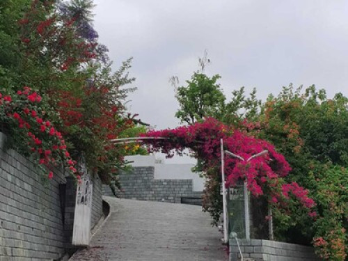 Tranquility amidst Nature - Gallery - 3