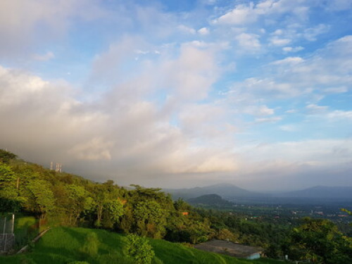 Tranquility amidst Nature - Gallery - 2