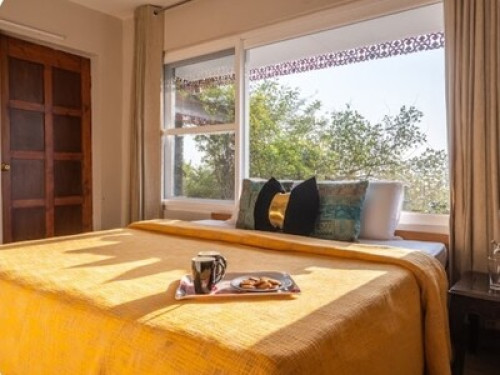 Tranquility amidst Nature - Gallery - 10