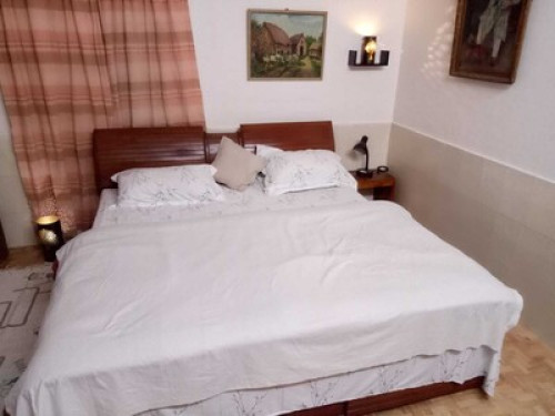 The Jungle Bungalow  - Gallery - 8