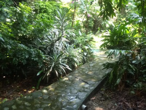 The Jungle Bungalow  - Gallery - 3