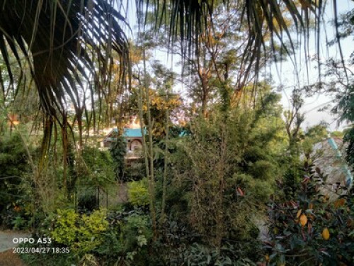 The Jungle Bungalow  - Gallery - 9