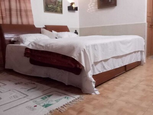 The Jungle Bungalow  - Gallery - 11