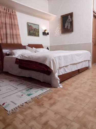 The Jungle Bungalow  - Gallery - 2