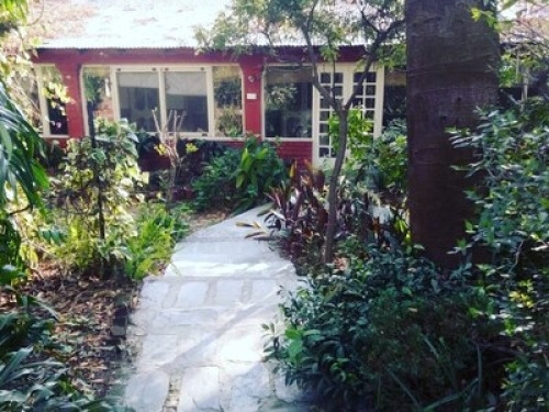 The Jungle Bungalow  - Gallery - 4
