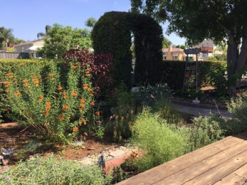Garden Sanctuary Near Colleges - Gallery - 8