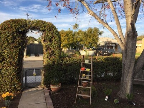 Garden Sanctuary Near Colleges - Gallery - 23